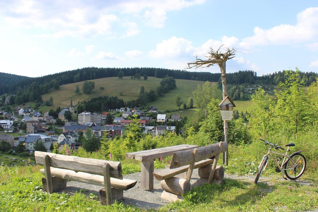 Landhotel Gasthof Zwota Klingenthal Exterior photo